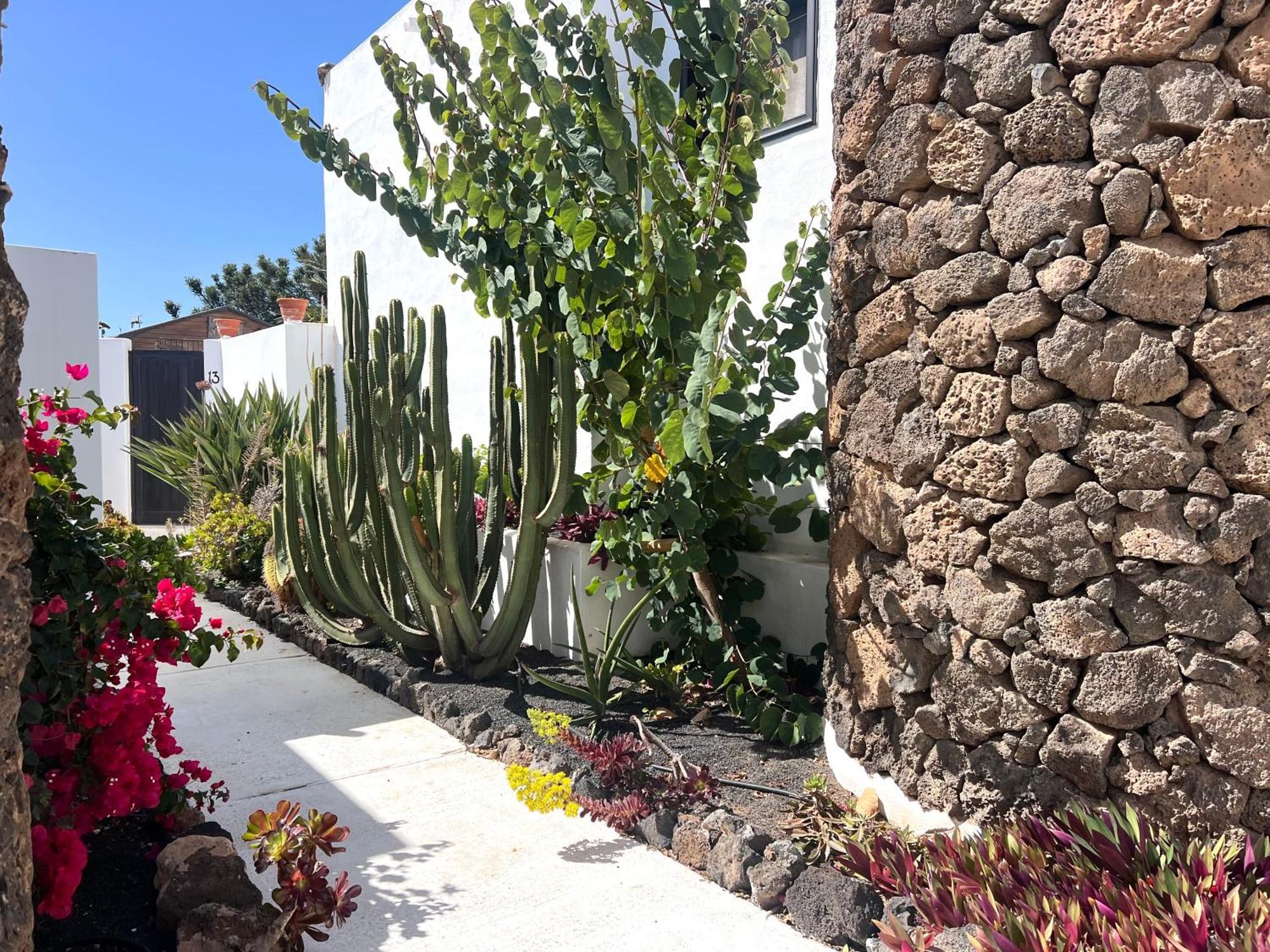 Oasis En Lanzarote Vila Costa Teguise Exterior foto